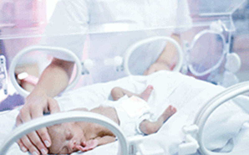 Nurse and premature baby photo 