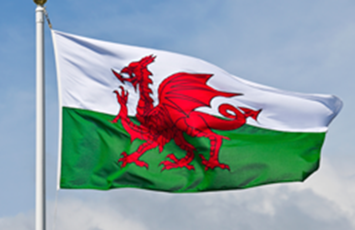 Welsh flag 