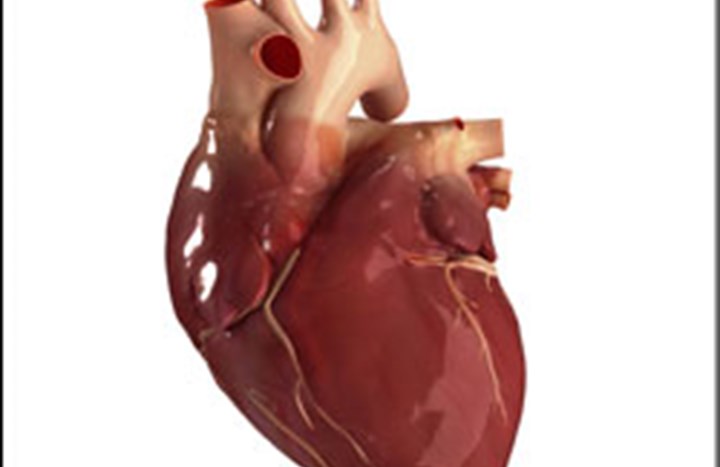 Heart Image